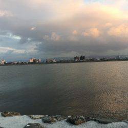 初マゴチゲーム