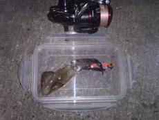 ヒイカエギング