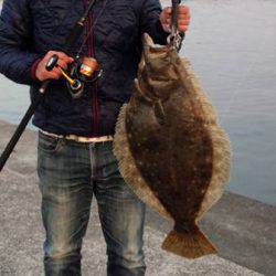 ヒラメ74センチ！