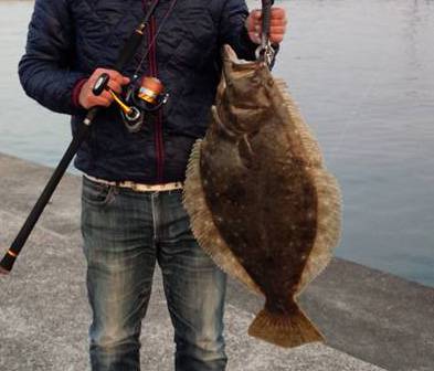 ヒラメ74センチ！