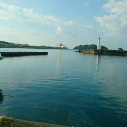 今年初釣り朝まずめ狙いで