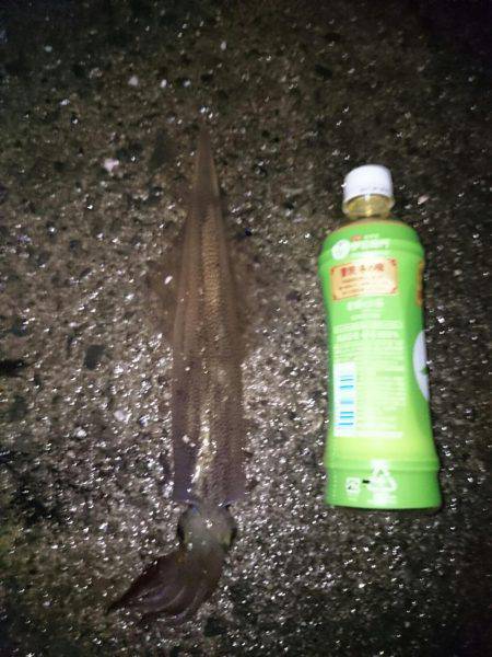 今年最初の釣り初め