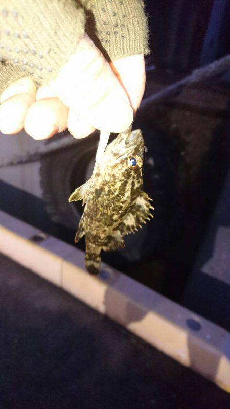 初釣りボーズ翌日タケノコ