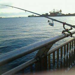 またまた行ってしまいました