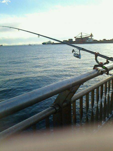 またまた行ってしまいました