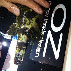 オンスタックルラウンドトリップトーナメント