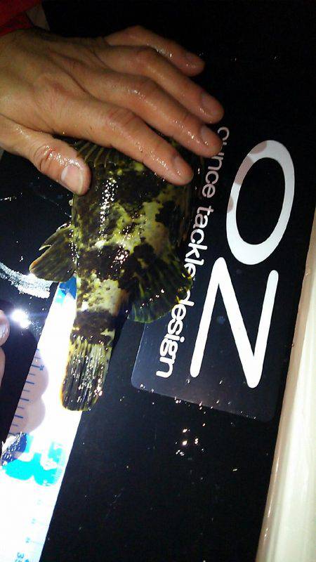 オンスタックルラウンドトリップトーナメント