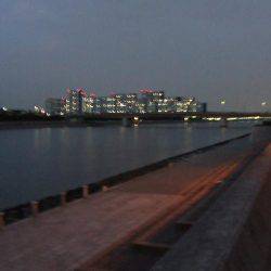 今季初タケノコメバル