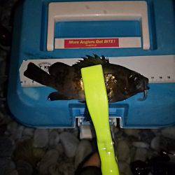 ちょこっとメバリング