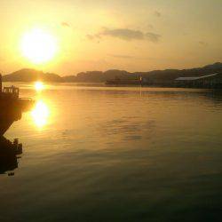 チャレンジ！筏カレイ！！