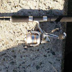 明けましておめでとうございます