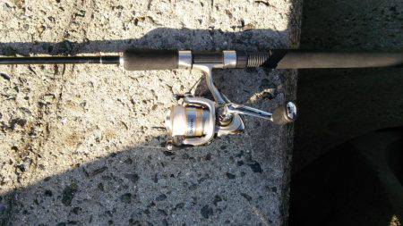 明けましておめでとうございます