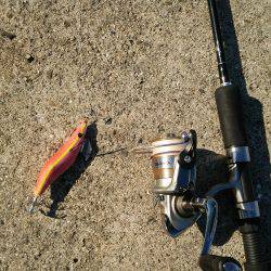 新年早々の投稿