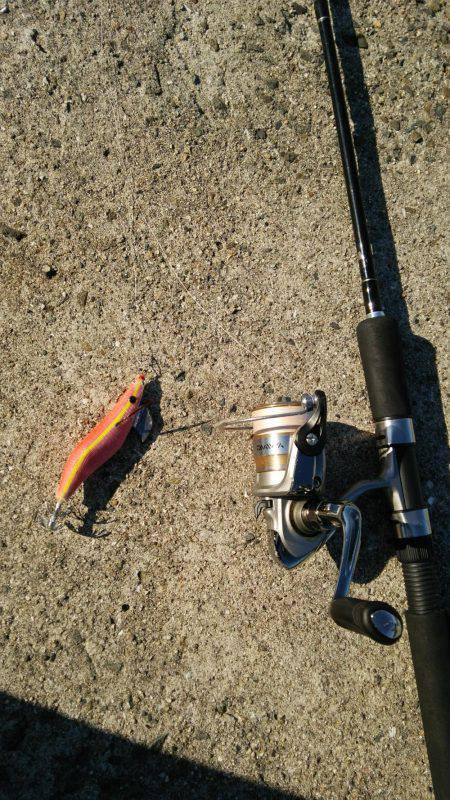 新年早々の投稿