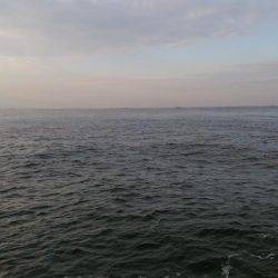 まだまだ行けます