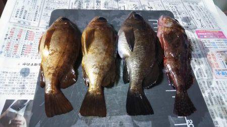 日中にまったりと