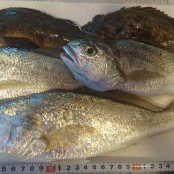 寒いなかでも初釣り