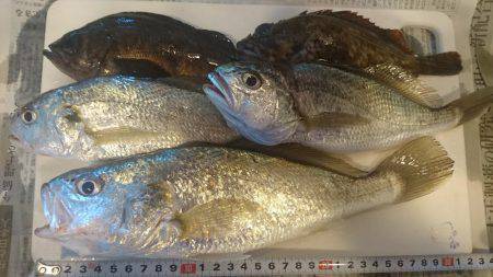 寒いなかでも初釣り