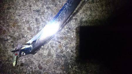 かなり減りました。