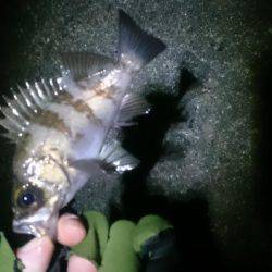 そろそろ終わりかな？