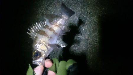 そろそろ終わりかな？