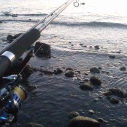 ショアジギング釣行