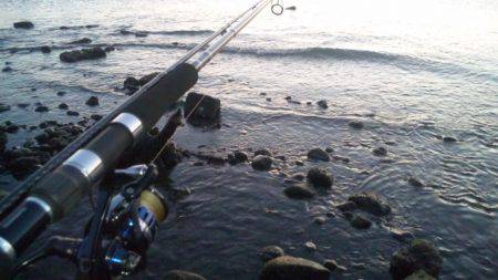 ショアジギング釣行