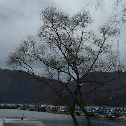 余呉湖ワカサギ釣り