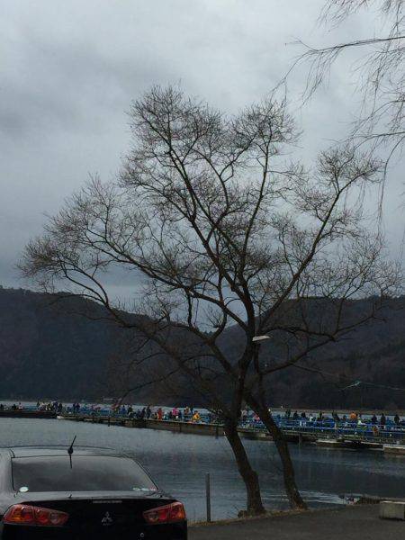 余呉湖ワカサギ釣り