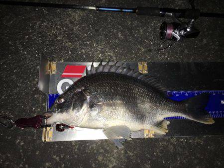 爆風でもナイトチヌゲーム