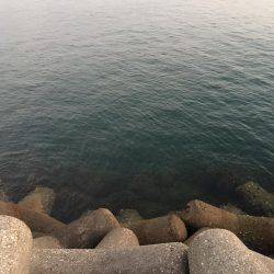 初釣りで、初めてのヒラメget!