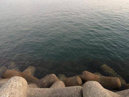 初釣りで、初めてのヒラメget!