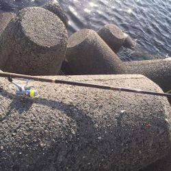 意地の2匹Getだぜ！