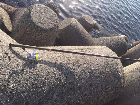 意地の2匹Getだぜ！