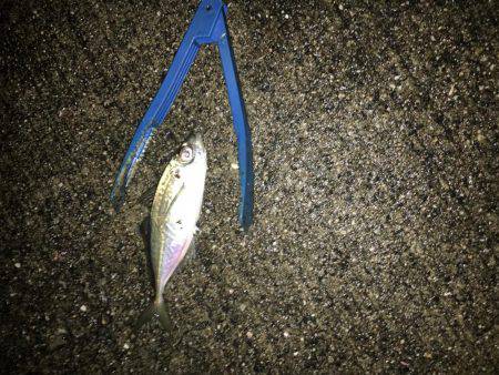 寒さに負けません