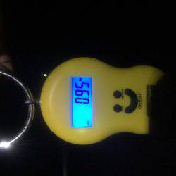 新年１発目です。