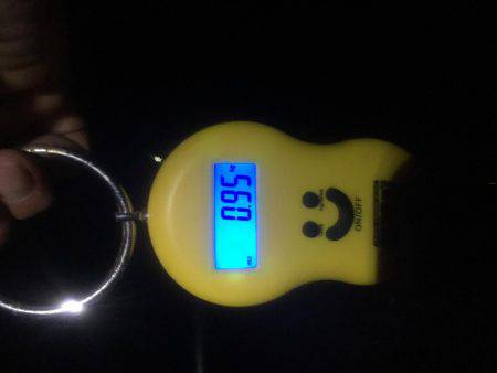 新年１発目です。