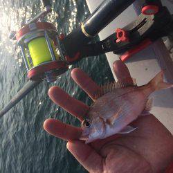 初釣り、初バックラ…（投げ練8日目）