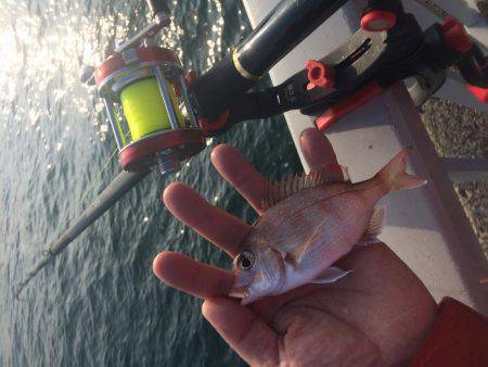 初釣り、初バックラ…（投げ練8日目）