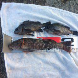 寒波で水温も急降下かな