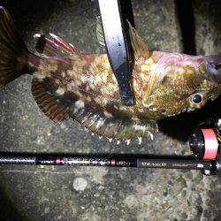 釣り初め、1投目からイキナリ…