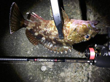 釣り初め、1投目からイキナリ…