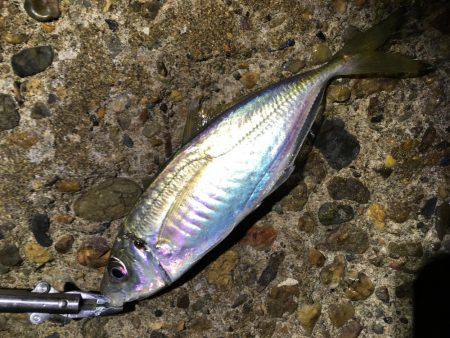 ライトゲームは楽しい。