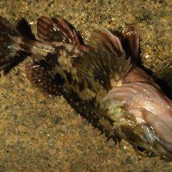 確実に鈍っている！