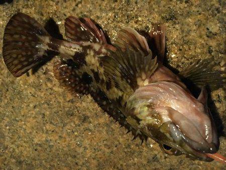 確実に鈍っている！