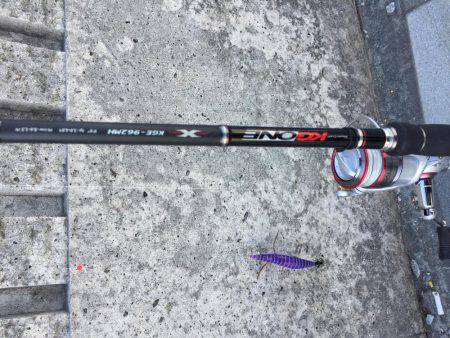 今年は少ない？