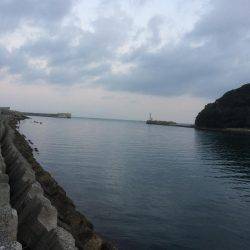 太刀魚まだいるかな？