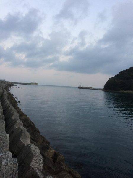 太刀魚まだいるかな？