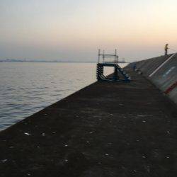 ショアジギング