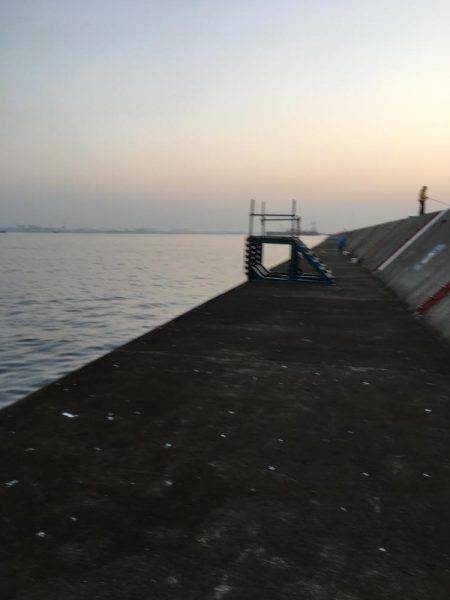 ショアジギング